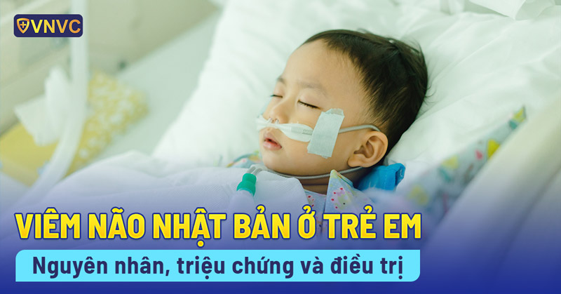 🆘 Kỳ Sơn ghi nhận ca bệnh viêm não Nhật Bản đầu tiên trong năm 2025